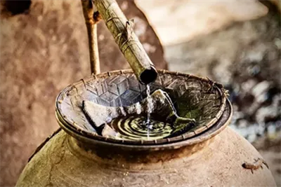 Udforsk verden af ​​